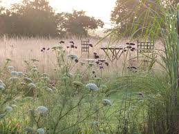 Jardin Du Mesnil Gaillard France Via Facebook Colorful Garden Gravel Garden Ornamental Grasses