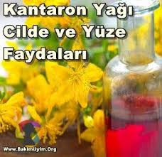 Kantaron Yaginin Cilde Faydalari Ve Zararlari Faydalari Nelerdir 2020 Cil Dogal Cilt Bakimi Dogal Cilt