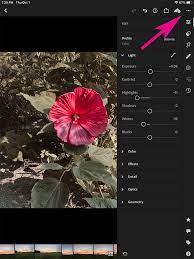 Lightroom presets and photoshop actions | beart presets. How To Install Use Lightroom Presets On Your Ipad Hue Hatchet