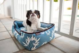 So people born in are metal dog. P L A Y Redefining The Pet Bed Experience 7x7 Bay Area