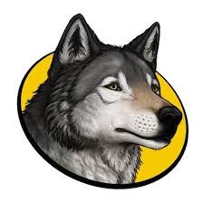 You are a young gray wolf. Wolfquest Game Publicaciones Facebook