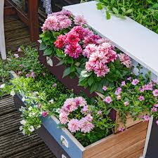 For large landscaping jobs, contact us for wholesale prices. Where To Buy Plants Online During The Coronavirus Lockdown The Best Places To Buy Flowers Plants Trees Veg And More