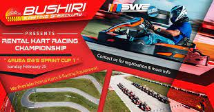 Our karts that can reach up to 50mph! Bushiri Karting Speedway Videos Facebook
