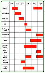 upper grand river hatch chart fly fish ontario