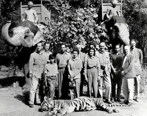When the British Killed India's Tigers | The Juggernaut