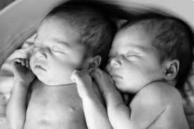 Bruce Peninsula Press