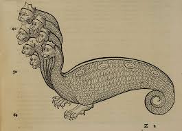Greek mythology >> galleries >> greek vase paintings 6 >> p27.4 p27.4 scylla. American Museum Of Natural History On Twitter Greek Myths Of The Scylla And Hydra Could Have Been Inspired By Glimpses Of Giant Squid Http T Co O5i4voksqp Http T Co Hqmqzsnhpp