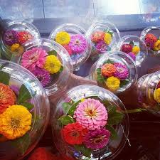 Tri Colored Zinnia Floater Bowls Flower Delivery Bowl Zinnias