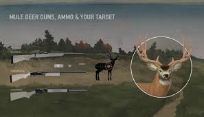 We offer fully guided mule deer hunts within the arizona strip & kiabab plateau, both well known for trophy mule deer. Mule Deer Huntingsmart