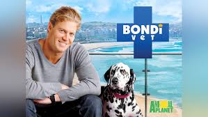 Prime Video: Bondi Vet Season 1
