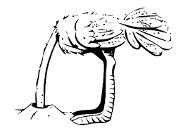 Apprends à dessiner un autruche en 3 étapes ! Autruche Dessin Dessin