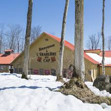 My Vegan Sugar Shack - A Québec Classic Reinvented - Valises & Gourmandises