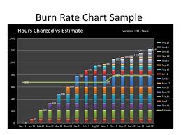 Burn Rate Chart Sample