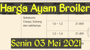 Harga ayam potong kami dapatkan dari beberapa sumber terpercaya yang kami rangkum semaksimal mungkin. Harga Ayam Broiler Hari Ini Senin 03 Mei 2021 Youtube