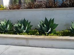 Available in block widths of 28, 41, and 60 inches (710, 1030, and 1520. Concrete Retaining Walls Landscaping Network