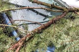 We did not find results for: Un Arbre Est Tombe Sur Votre Voiture Etes Vous Assure Lesfurets