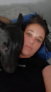 How to manage two belgian malinois?