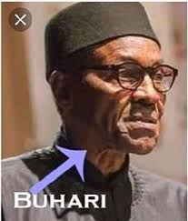 Biafra freedom in defence of justice and equity. Mazi Nnamdi Kanu Has Realdavidigboke Simon Biara Son Facebook