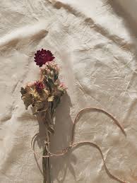 Dried Flowers Wallpapers Top Free Dried Flowers Backgrounds Wallpaperaccess Published by april 1, 2020. dried flowers wallpapers top free