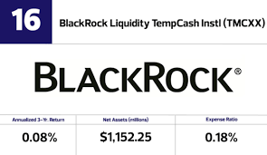 Money Market Mutual Funds The Highest Yields Amid Tiny Returns Financial Planning This indicator is measured in terms of national currency per us dollar. financial planning