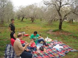 سيران رمضان outdoor outdoor blanket picnic
