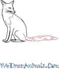 Here is the many body parts of a red fox or a fox in general. How To Draw A Realistic Fox