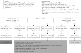 Most of these types of aspergillosis affect the lungs and sinuses. Confronting And Mitigating The Risk Of Covid 19 Associated Pulmonary Aspergillosis European Respiratory Society