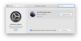 How To Switch From Beta To Final Version Of Macos Catalina