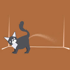 The most common behavior problem reported by pet parents of cats is inappropriate elimination. Cat Urine Spraying Why Do Cats Spray And How To Deal With It