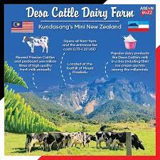 Check spelling or type a new query. Aseanbuzz Places The Mini New Zealand In Sabah Facebook