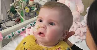 Indi Gregory's death is a scandal. Parents should be allowed to act in  their child's interests