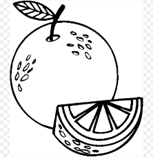 The page contains orange and similar colors including their accompanying hex and rgb codes. Color Orange Coloring Page Png Image With Transparent Background Toppng