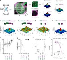The form of declaration may be modified/adapted to circumstances in which there is more than one declarant/beneficial owner in respect of a particular share. Recent Evolution Of A Tet Controlled And Dppa3 Stella Driven Pathway Of Passive Dna Demethylation In Mammals Nature Communications
