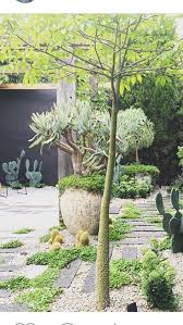 Eckersley Garden Architecture Fan Aloe Photo Clare Cousins Xeriscape Front Yard Xeriscape Garden Planing