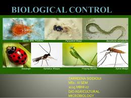 They cause environmental problems as well as health problems. Biological Control
