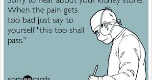 Pin On Kidney Stones