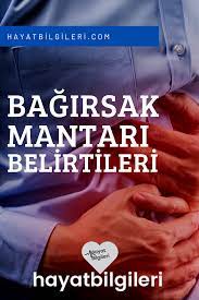 bagirsak mantari kimlerde gorulur hayat bilgileri saglik saglik urunleri bilgi
