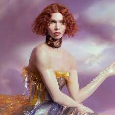 He takes most her clients leavng her with difficult estelle. Sophie Acclaimed Avant Pop Producer Dies Aged 34 Electronic Music The Guardian