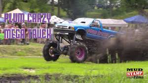 Image result for Plum 1994 Truck