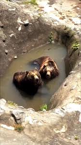 Marytė (@m_kaminskaja)'s videos with оригинальный звук ...