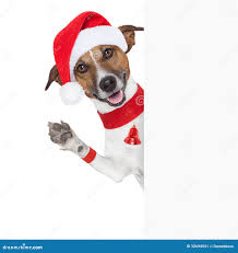 Hello Goodbye Christmas Dog Stock Image