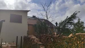 Siała spustoszenie w dwóch podlubelskich gminach: Prawdopodobna Traba Powietrzna W Gminie Tereszpol W Wojewodztwie Lubelskim Porywy Wiatru W Polsce Przekraczaja 90 100 Km H Dobrapogoda24 Pl