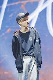 Wallpaper Idol Kpop Tupai Pacar Pria Fandom