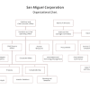Какая организационная структура применяется для крупных проектов Organizational chart Communication,Organization,Organizational Structure, Called