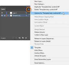 Oct 13, 2015 · although it unlocks all layers, but won't unlock locked paths. How To Work With Template Layers In Adobe Illustrator Webucator