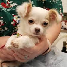 ♥ Beautiful Animal Stories ♥ (@beautifulanimalstories) • Instagram photos  and videos