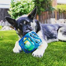 Available in three sizes depending on your pooch. 31 Best Dog Toys Of 2020 That Ll Give Your Pup The Zoomies Bark