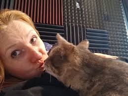 Finding a Home for a Stray Cat in Sterling, IL