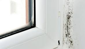 Fenster Beschlagen Schimmel Schimmel Wand Schimmel Im Bad Schimmel Entfernen Wand