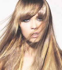 Bam visits, but skips Brooklyn